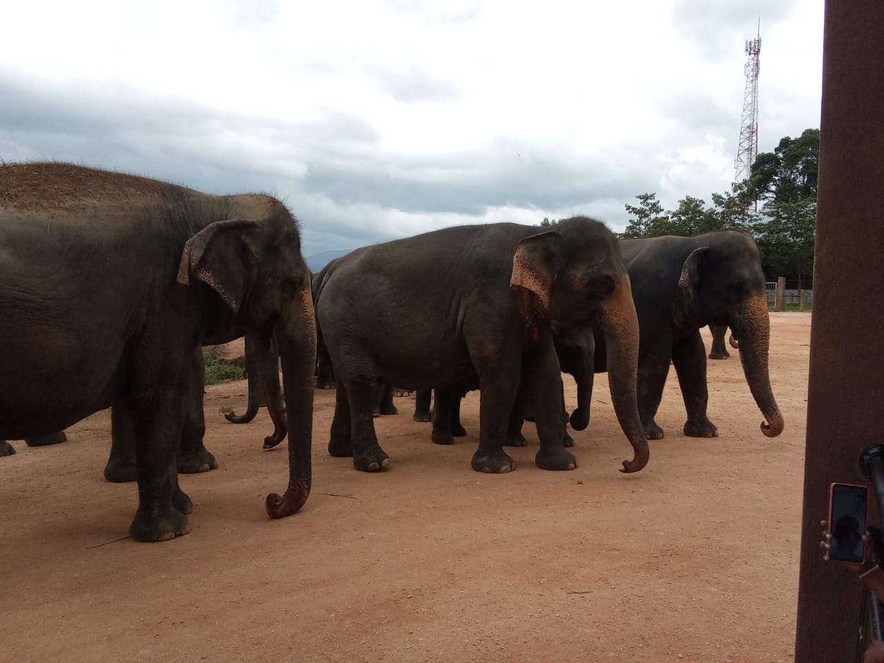Akew Tours – Gallery
